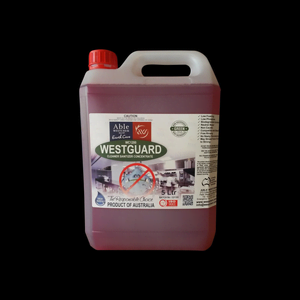 5L
