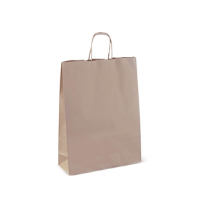 Paper Carry Bags with Handles