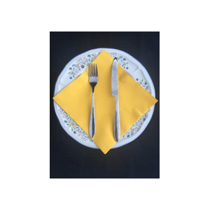 Dinner Napkin Colours